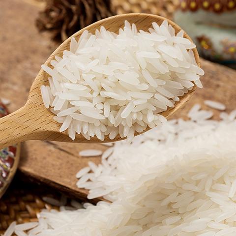 中粮金花柬埔寨茉莉香米「1KG」柬埔寨进口大米