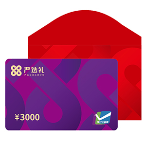 严选礼购物卡「3000元面值」京东8仓发货通用礼品卡