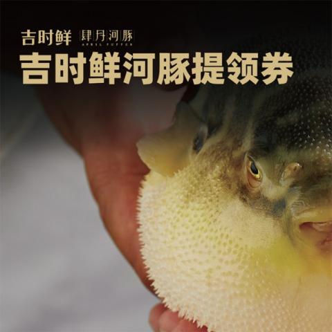 吉时鲜肆月河豚「1888型红烧河豚」全国通用提领券