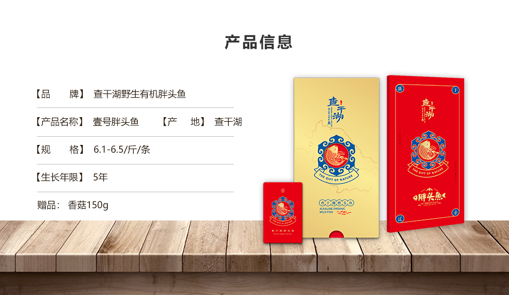 壹号胖头鱼.png