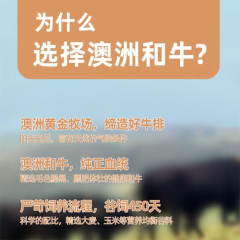 海斯HEALTH「658型」雪花和牛兑换券