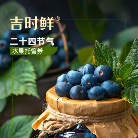 吉时鲜二十四节礼水果托管劵「888型」全年4次配送
