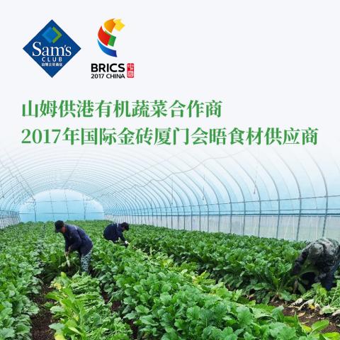 农派有机蔬菜「配送2次卡」每次8种蔬菜3KG